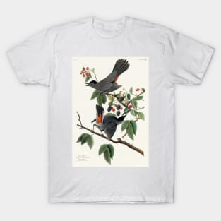 Cat Bird from Birds of America (1827) T-Shirt